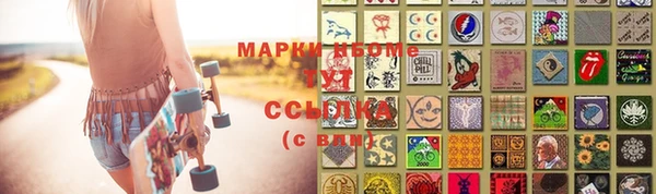 шишки Сясьстрой