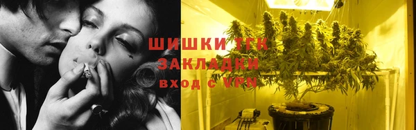 шишки Сясьстрой