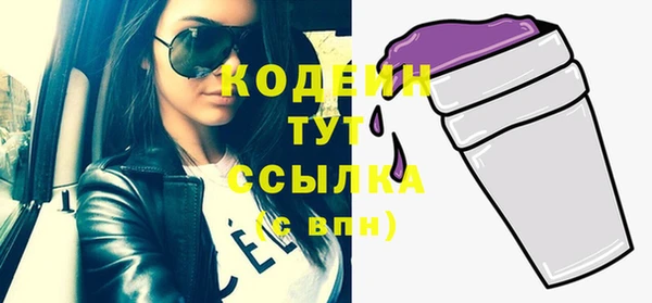 шишки Сясьстрой