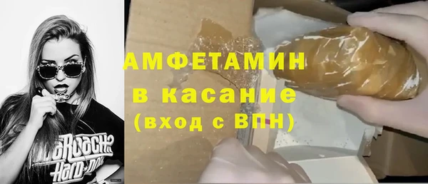 шишки Сясьстрой