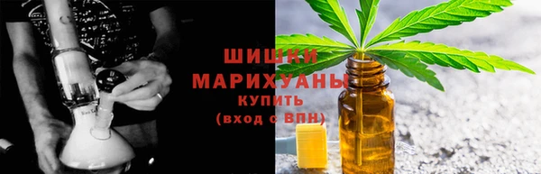 мяу мяу мука Тайга