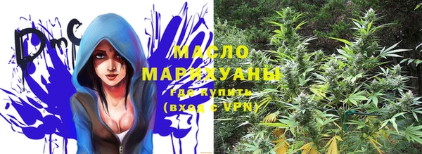 шишки Сясьстрой