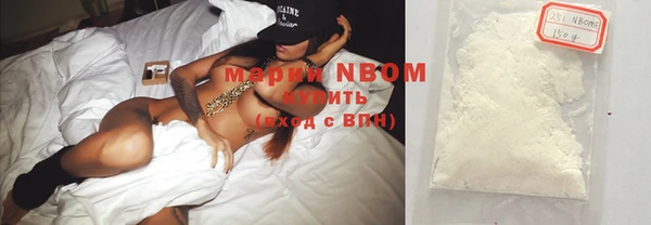 шишки Сясьстрой