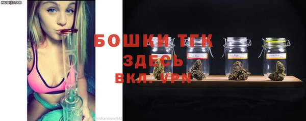 шишки Сясьстрой