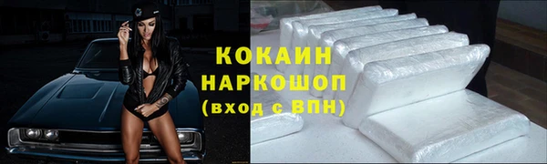 шишки Сясьстрой
