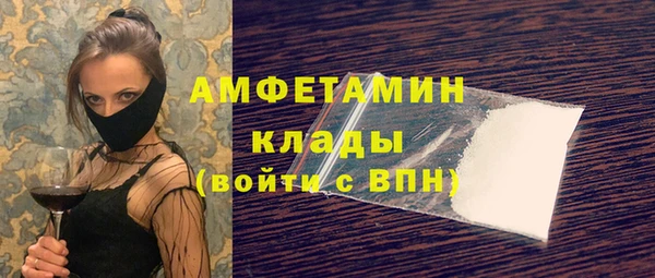 шишки Сясьстрой