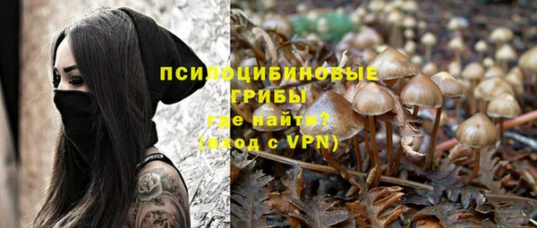 альфа пвп Тавда