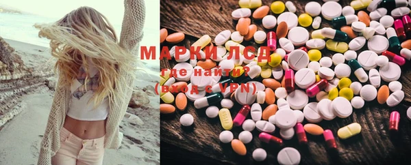 мяу мяу мука Тайга
