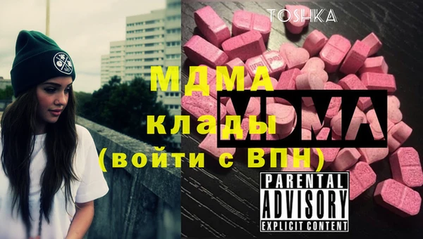 шишки Сясьстрой