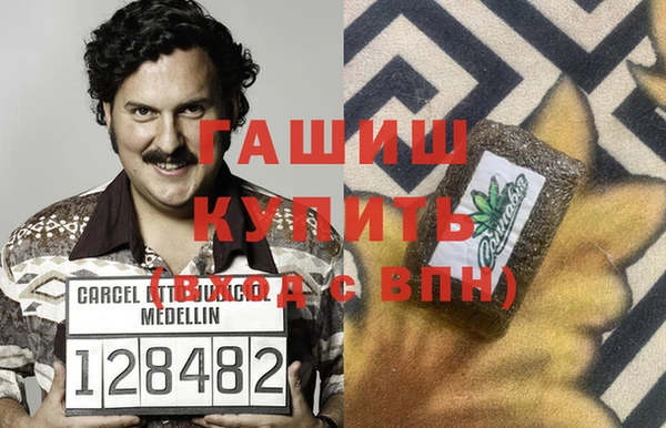 шишки Сясьстрой