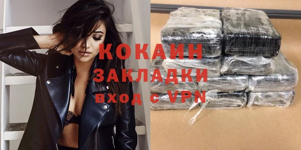 шишки Сясьстрой