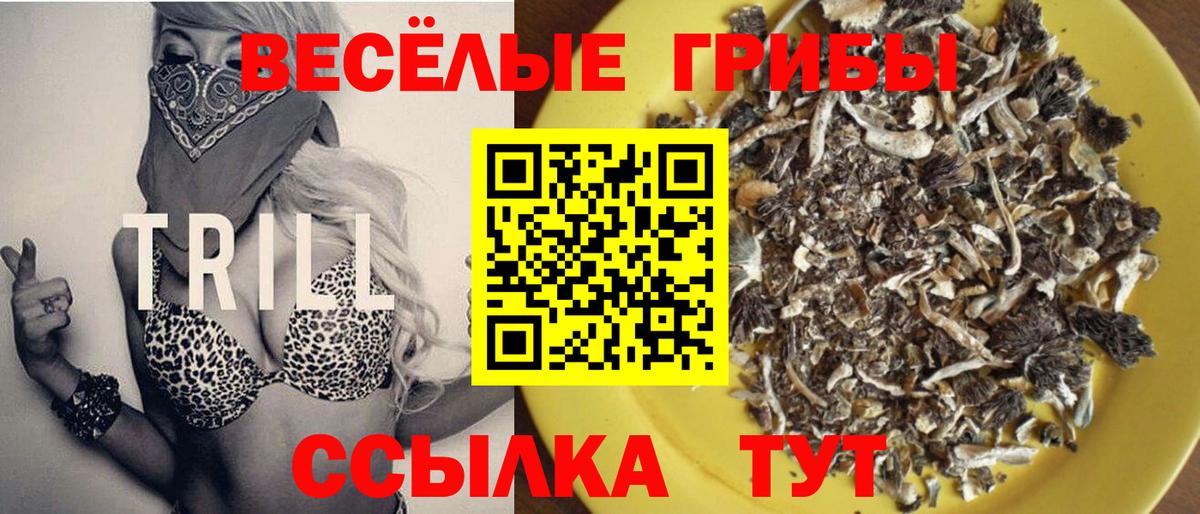 Черногорск  магазин  наркотиков  Вход с VPN  Псилоцибиновые грибы MAGIC MUSHROOMS 